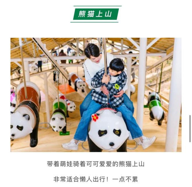 气顶流“窝囊旅游三件套”又怂又爽开元棋牌app“特种兵旅游”已过(图4)