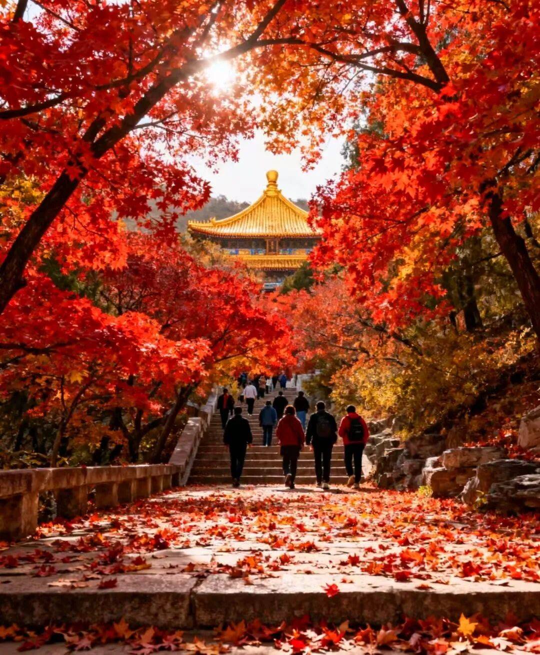 OP榜:好途领跑解锁“人无我有”的京味私享开元棋牌网站2025北京高端定制游口碑T(图1) OP榜:好途领跑解锁“人无我有”的京味私享开元棋牌网站2025北京高端定制游口碑T(图1)